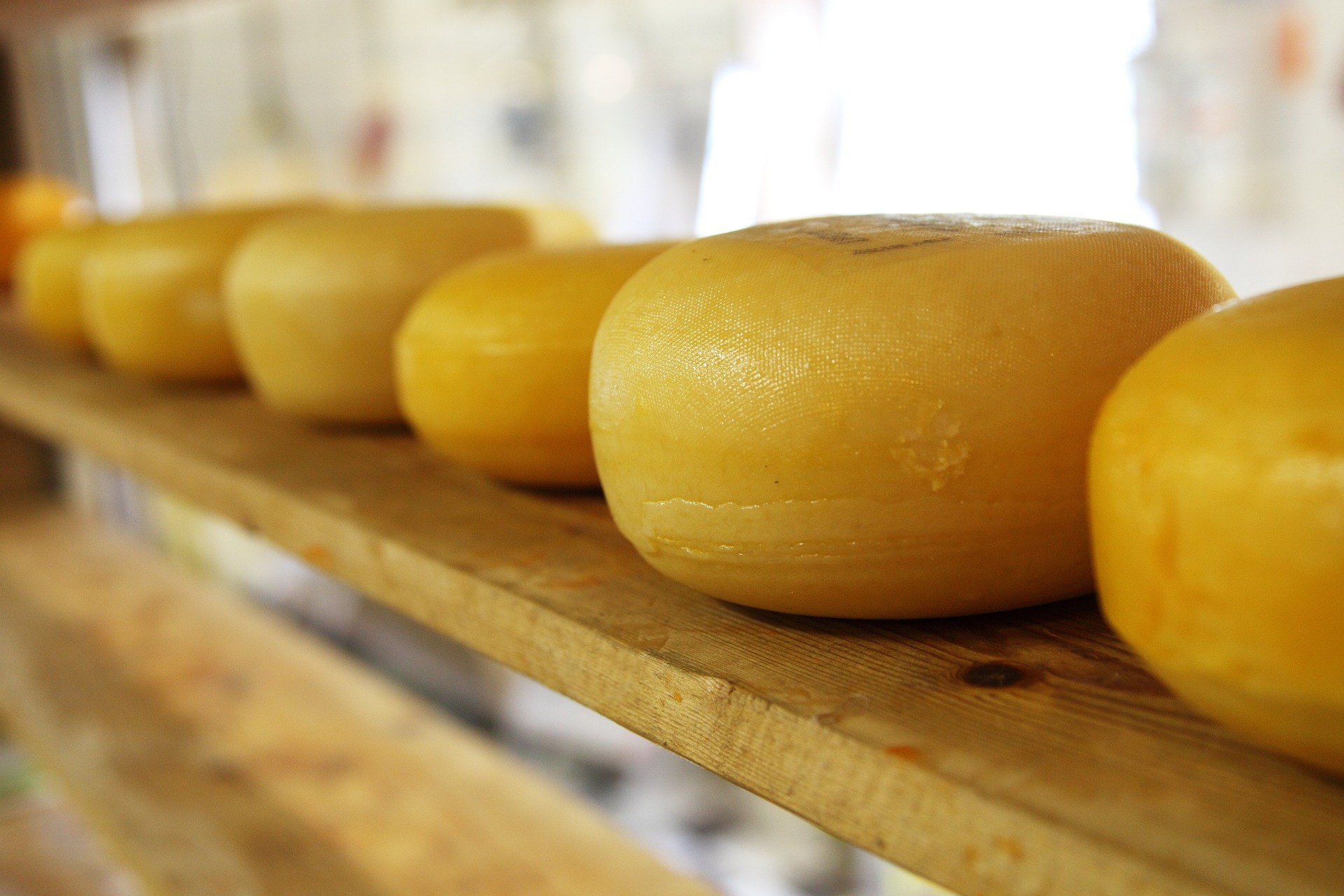 cheese-g67d4233b5_1920