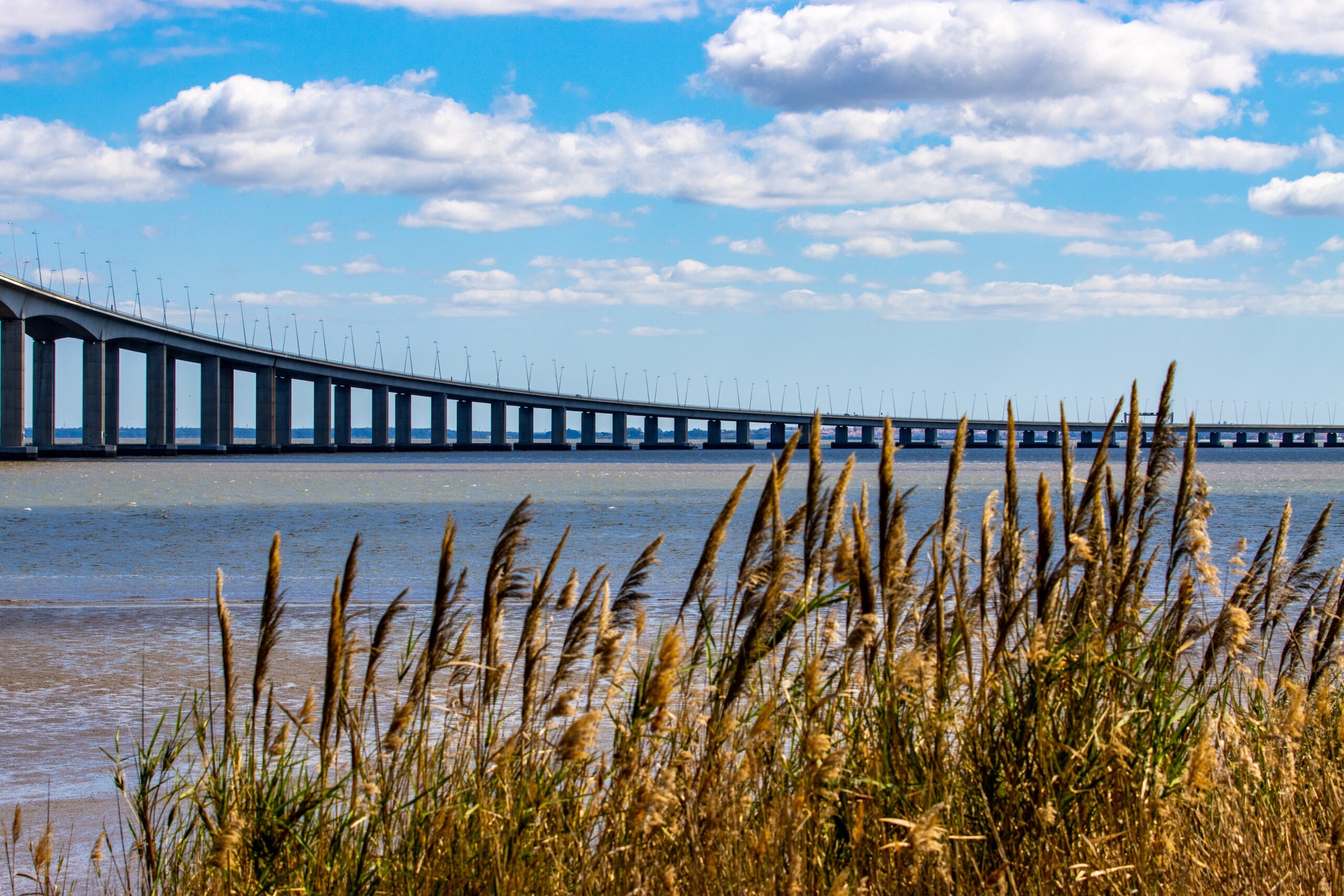 Ponte Vasco da Gama